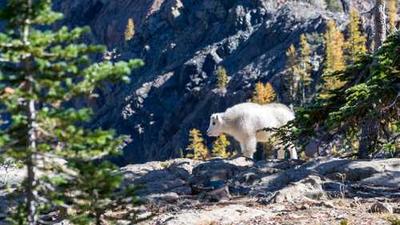 动漫：街头美食幻想